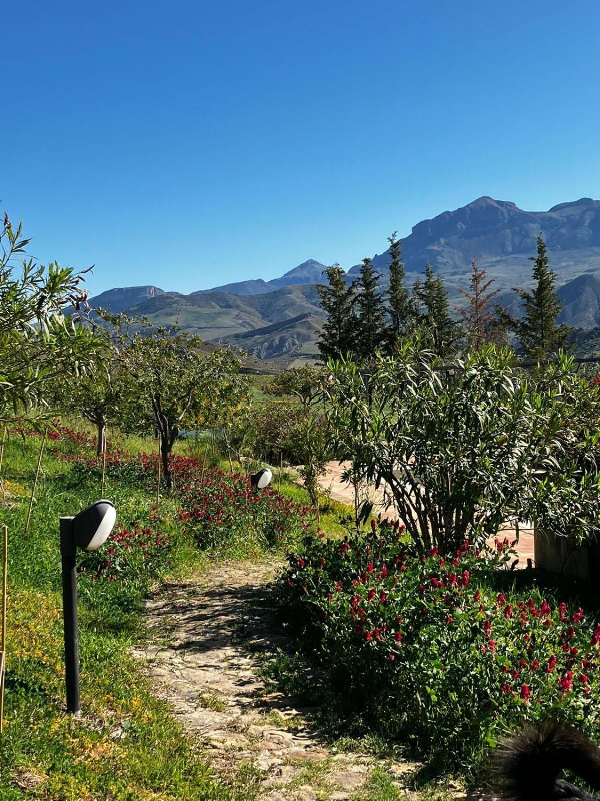 Le Case Di Cardellino - Agrispa Sclafani Экстерьер фото