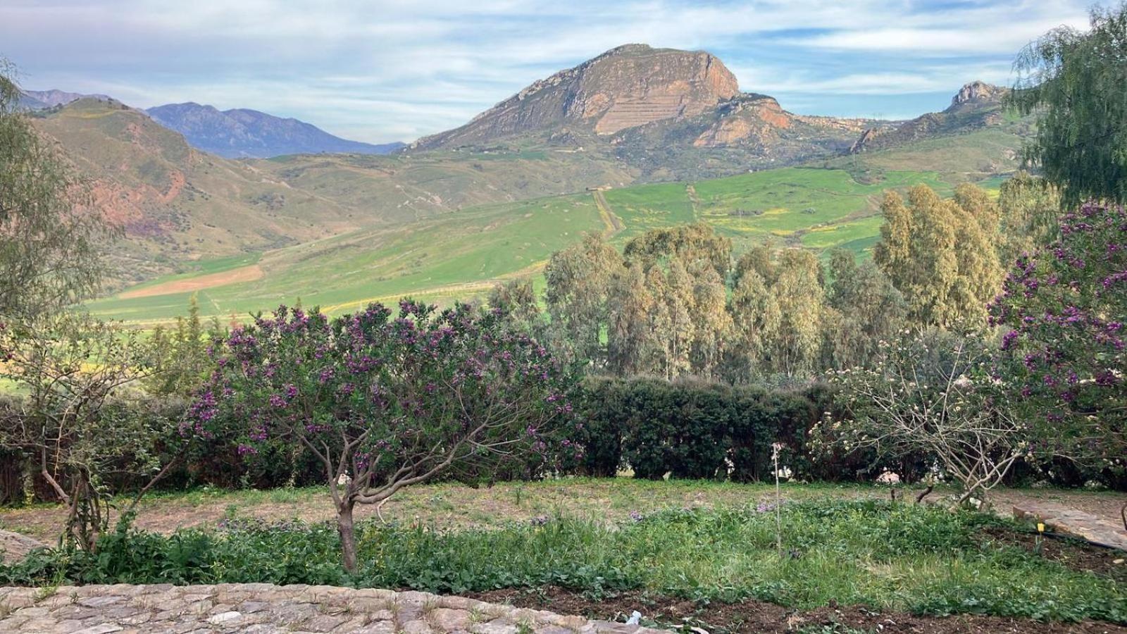 Le Case Di Cardellino - Agrispa Sclafani Экстерьер фото